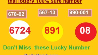 thai lottery 100% sure namber